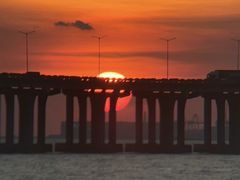 -宝安西湾红树林湿地公园