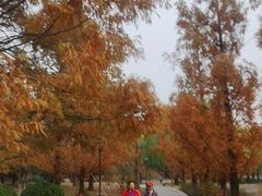 -元大都城垣遗址公园