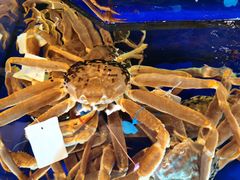 -蟹道乐(道顿堀本店)