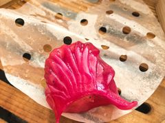 -广州白天鹅宾馆