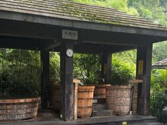 -融汇温泉