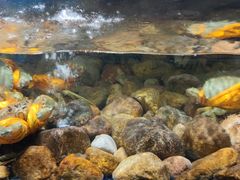 -健眺小海鲜(临海后山店)