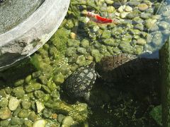 -仙林宾馆-餐厅