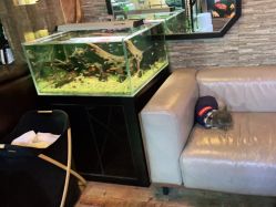 -青木造型HAIR·あおき髪を刈る潮人店