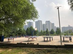 -太阳宫公园