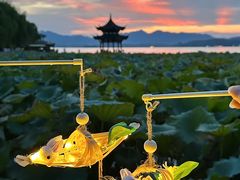 -炖物24章·顺时轻养茶(杭州大厦店)