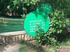 -汕头莲花山度假村温泉