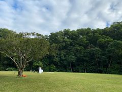 -深圳仙湖植物园