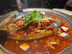 -肥家大排档(天河体育西店)