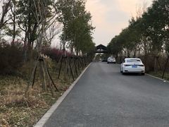 -广富林郊野公园