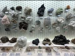 -浙江自然博物院(杭州馆)