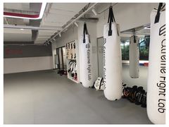 -EFL巴西柔术·综合格斗·泰拳·少儿体能训练(虹桥德必馆)