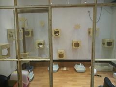 门面-猫色咖啡·猫咖
