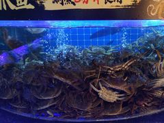 -福禧荟·海鲜自助
