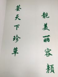 -荟草堂痘肌修护中心