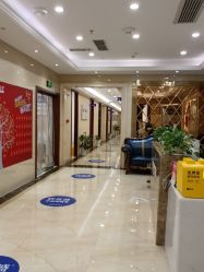 -碧莲盛·不剃发植发