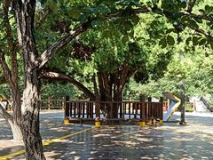 -狼牙山风景区