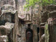 -铁山坪森林公园