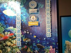 -成都浩海立方海洋公园