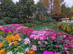 -杭州植物园