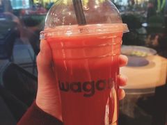 园丁佩特-Wagas沃歌斯(大学路店)