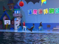 -蓬莱欧乐堡海洋极地世界