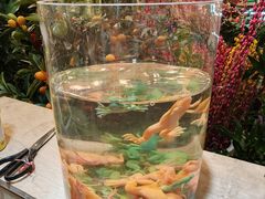 -双季花艺园艺市场(浦东店)