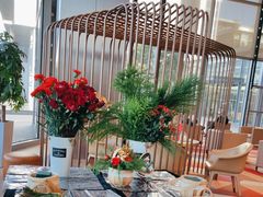 -奔驰上海利星(七宝店)