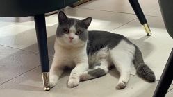 -ChuLian初莲日式美甲美睫