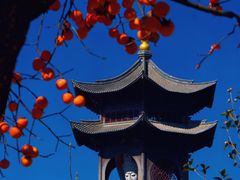 -盘龙寺