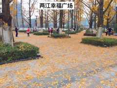 -百林公园-两江幸福广场