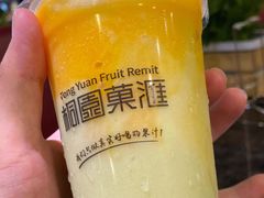 -桐园果汇(湖贝店)