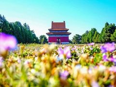 -清东陵