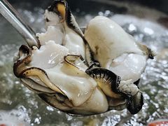 -花苑美食横琴生蚝火锅(拱北粤华路店)