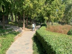-北坞公园