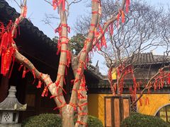 -司徒庙