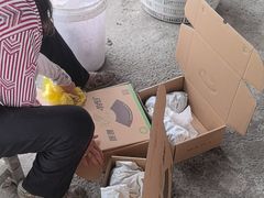 -马陆小张葡萄园农家乐