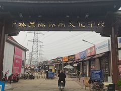 东大门-中环花鸟鱼虫市场