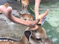 -祥源·阜阳生态乐园