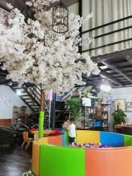 点击看大图 -美年亲子儿童摄影(合肥市滨湖新区金泉小区店)