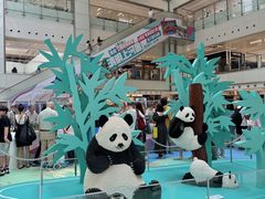 -新城市广场