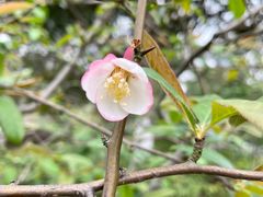 -白塘生态植物园