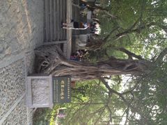 iphone_upload_pic-胡里山炮台
