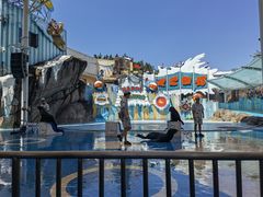-海合安成都极地海洋公园