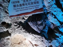 -周口店北京人遗址公园