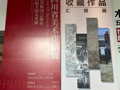 -四川美术馆