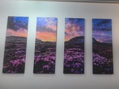 -莲洞本家