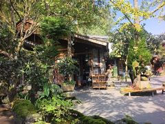 -青城甲(青城山店)