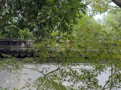 -秋霞圃