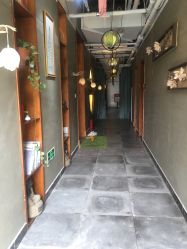 -花间禅净·瑜伽